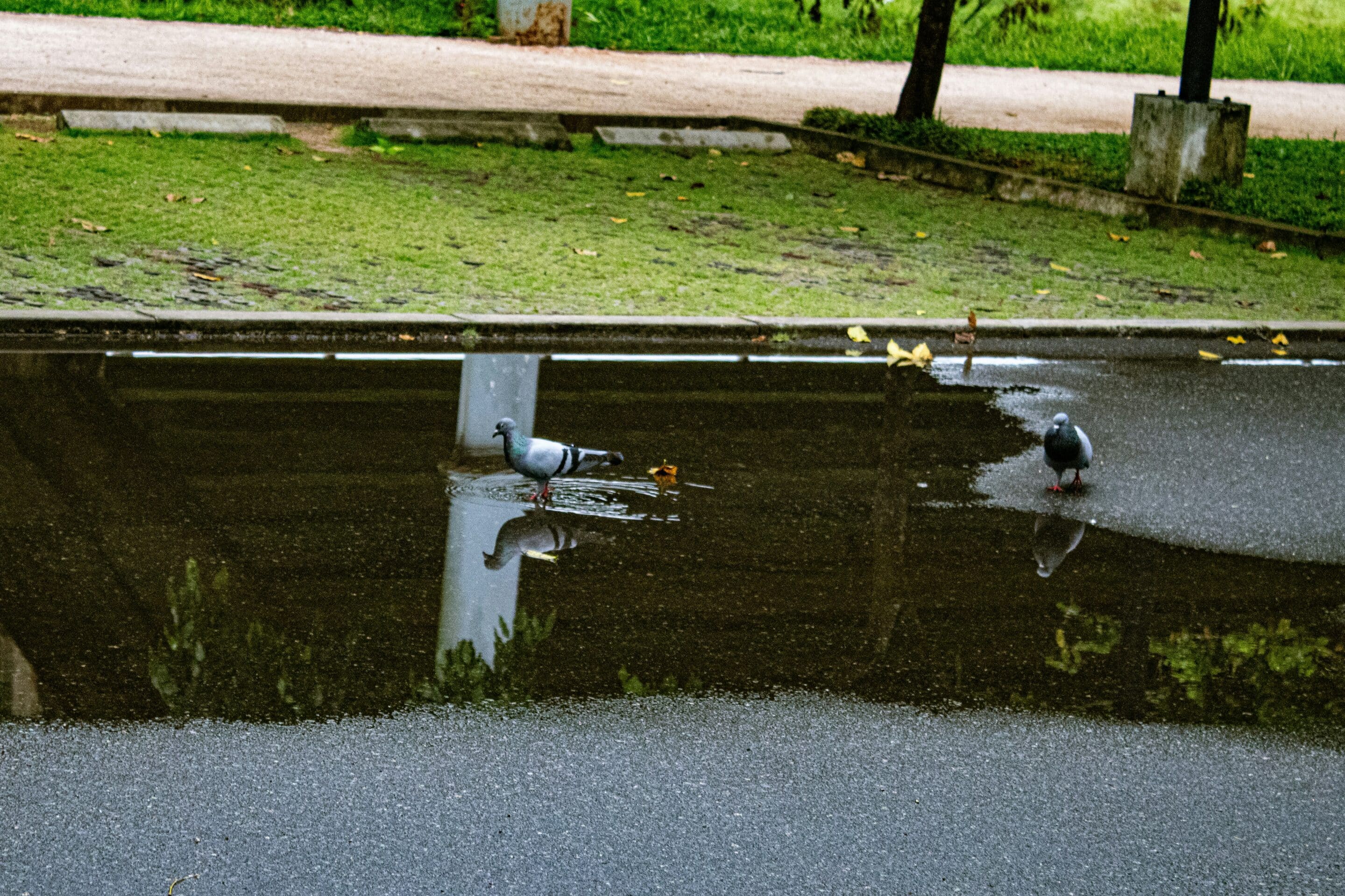 Blocked Drains in Southern Highlands? Here’s How We Can Help