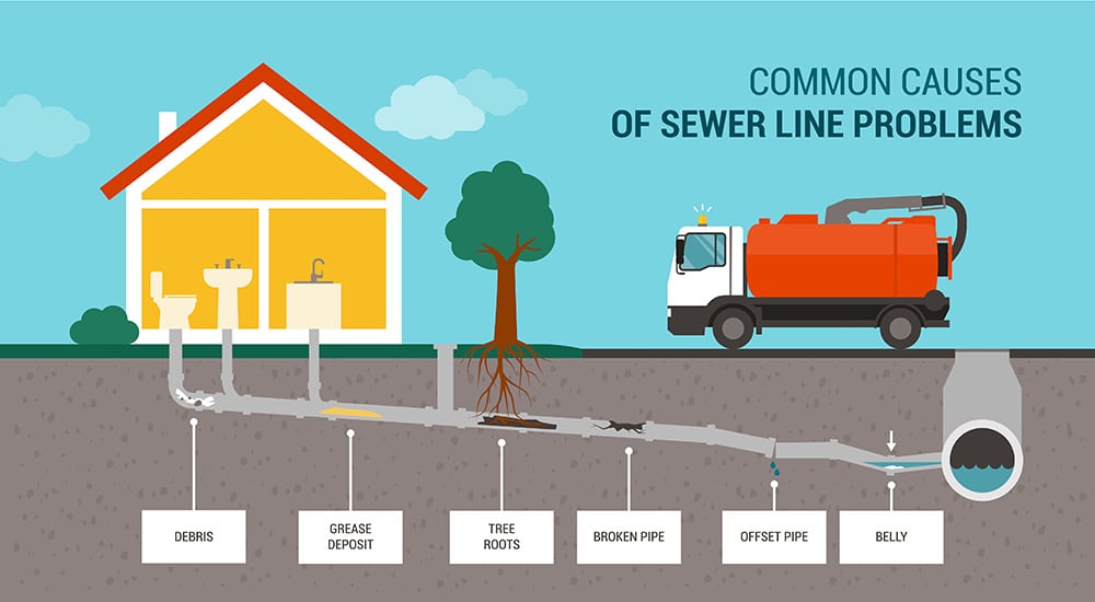 Common causes of sewer line problems including tree roots, grease buildup, debris and broken pipes